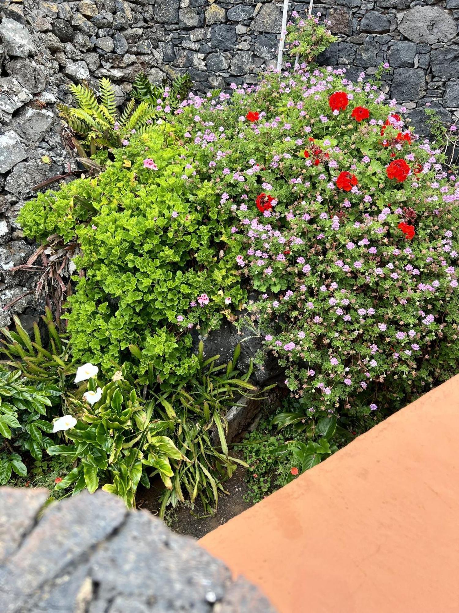 Cozy Rural House Las Guindas, El Hierro Erese Eksteriør bilde